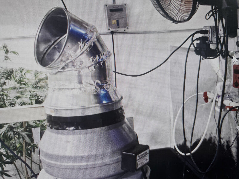 Grow Room Odor Control Methods During Harvest