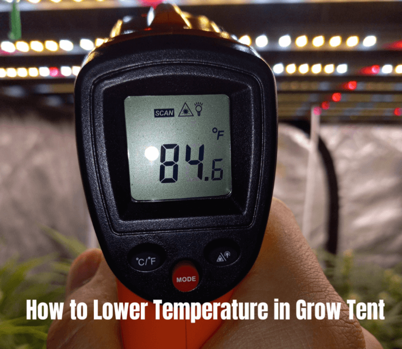 How to Lower Temperature in Grow Tent