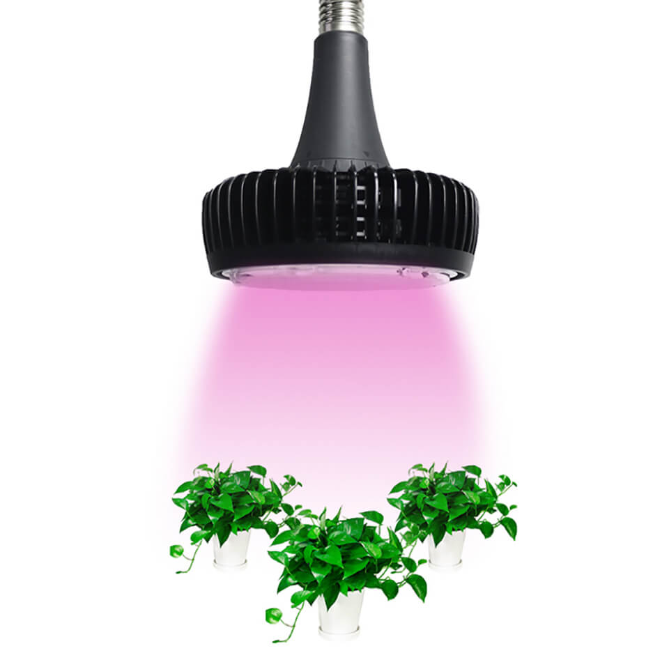 HL-100 100 Watt High Bay E40 LED Grow Lights for House Plants Seedling Stage