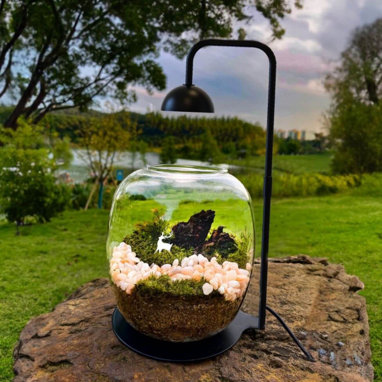 lights for terrarium plants Lights for Bioactive Terrarium | Terrarium Lamp | Best LED Lights for Terrarium