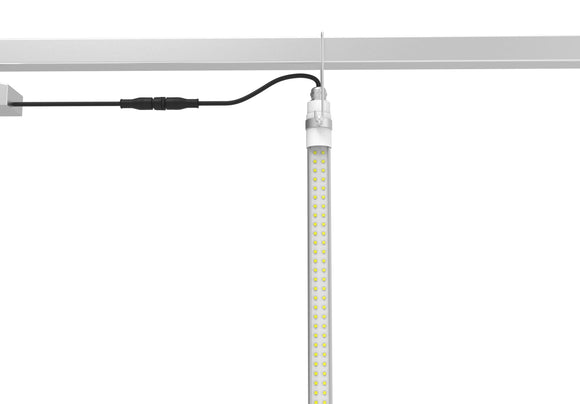 N240 LED Interlighting - Greenhouse Supplemental Lights, 40 Watts, 2.8 µmol/J, IP66, Full Spectrum | Cultiuana