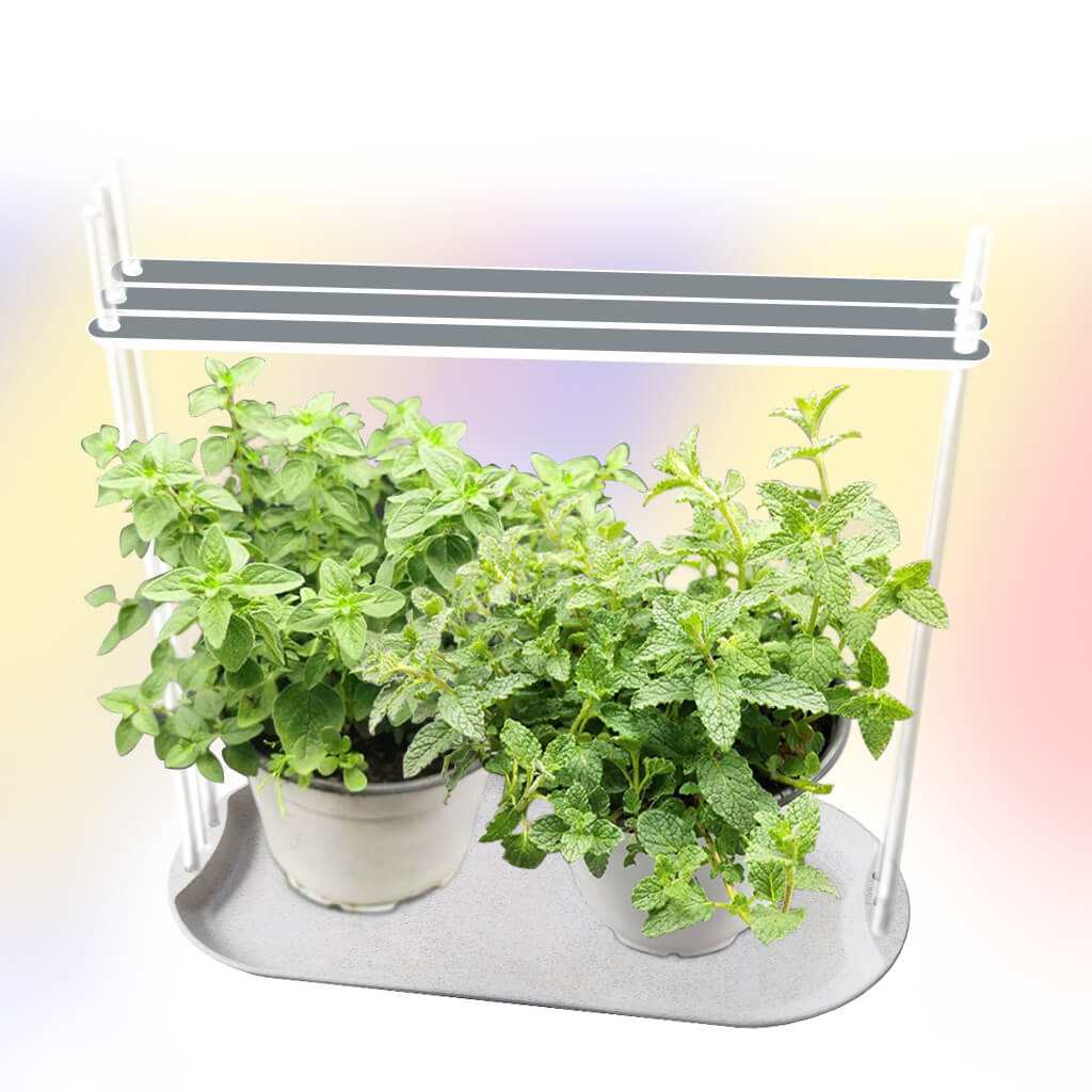 indoor plant light kit Small Grow Lights for Houseplants | Houseplant Lights | Grow Lights for Small Indoor Plants