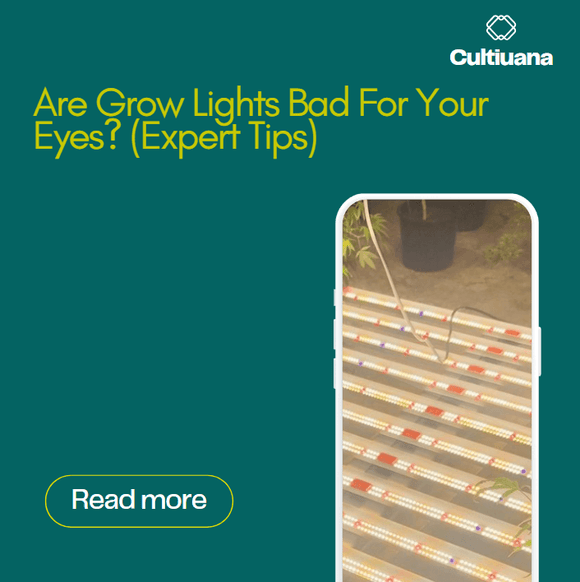 Are Grow Lights Bad For Your Eyes? (Expert Tips) Cultiuana