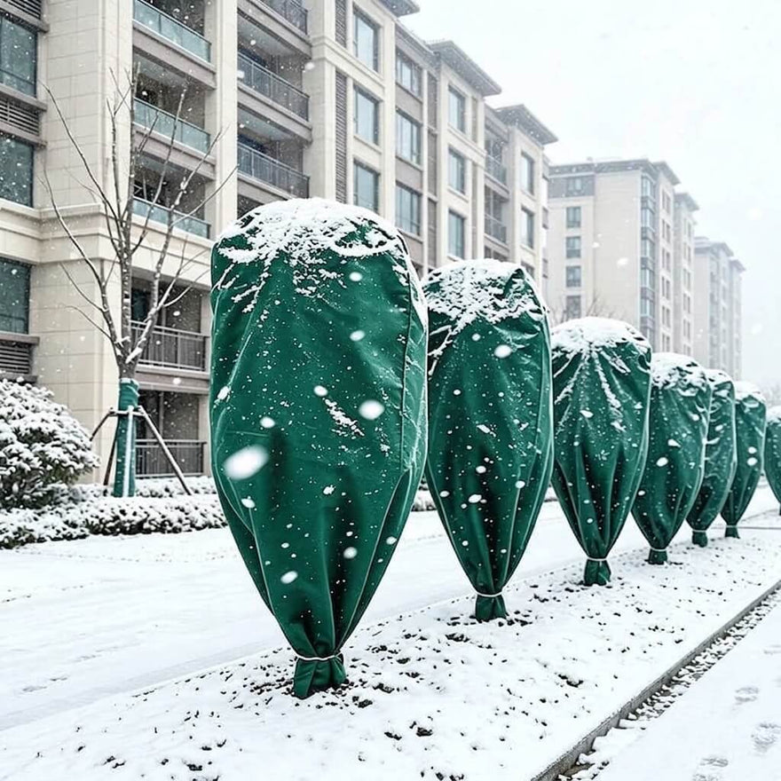 Best Frost Protection Covers for Plants: How to Choose the Right One