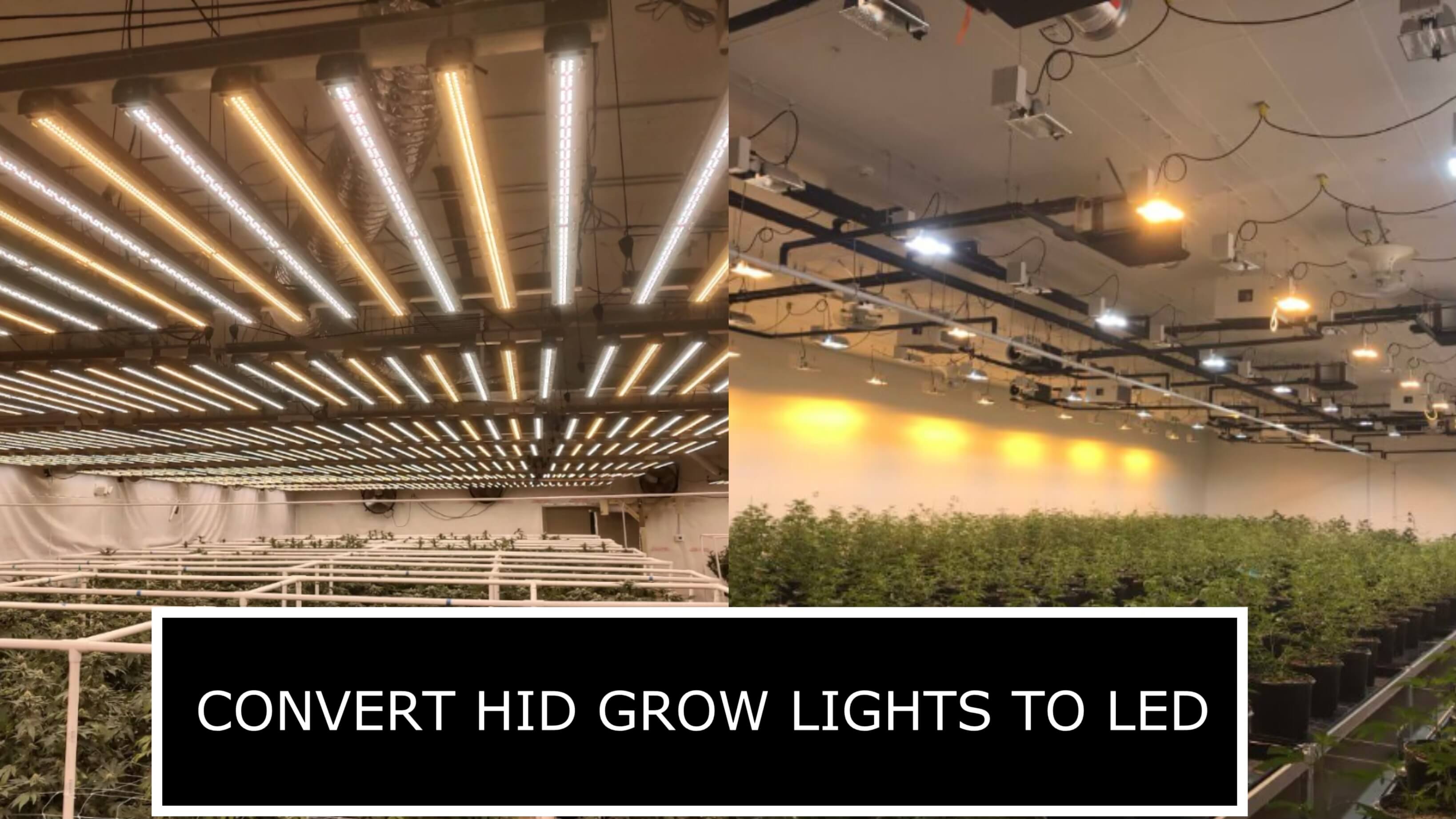 Convert HID Grow Lights to LED