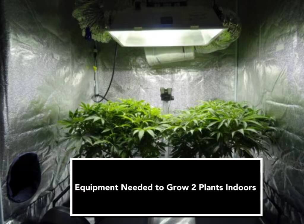 Equipment Needed to Grow 2 Plants Indoors
