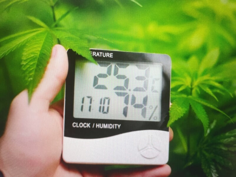How To Control Humidity in Grow Tent
