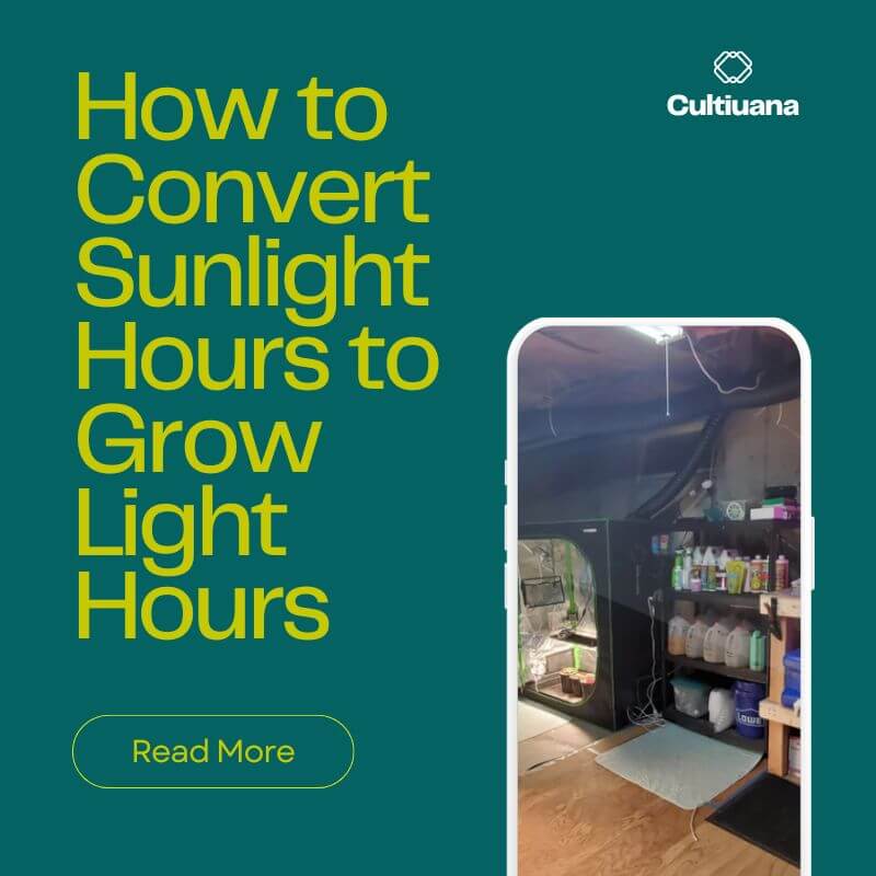 How to Convert Sunlight Hours to Grow Light Hours