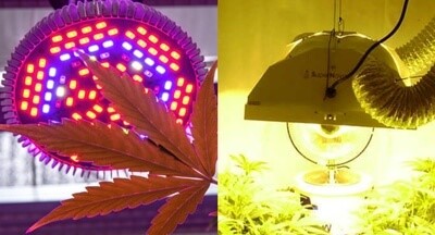 LED Grow Light vs HPS: A Comprehensive Comparison