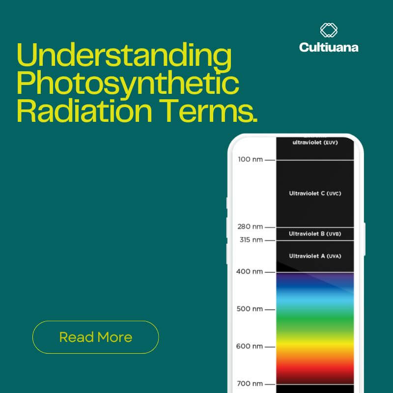 Understanding Photosynthetic Radiation Terms