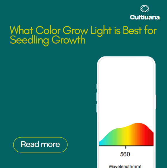 What Color Grow Light is Best for Seedling Growth? Cultiuana
