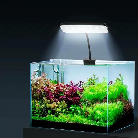 Would a UVB Light Grow Plants in a Terrarium?