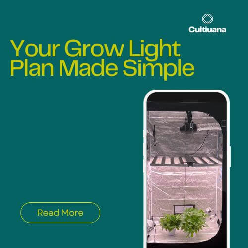 Your Grow Light Plan Made Simple