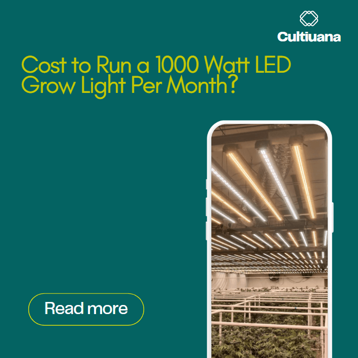 Cost to Run a 1000 Watt LED Grow Light Per Month?