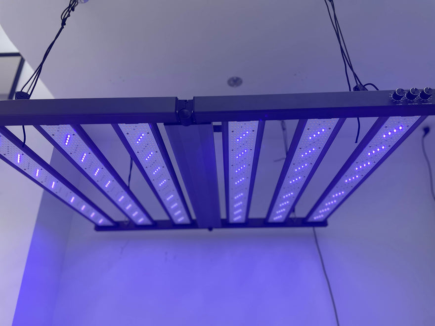Do LED Grow Lights Emit UV