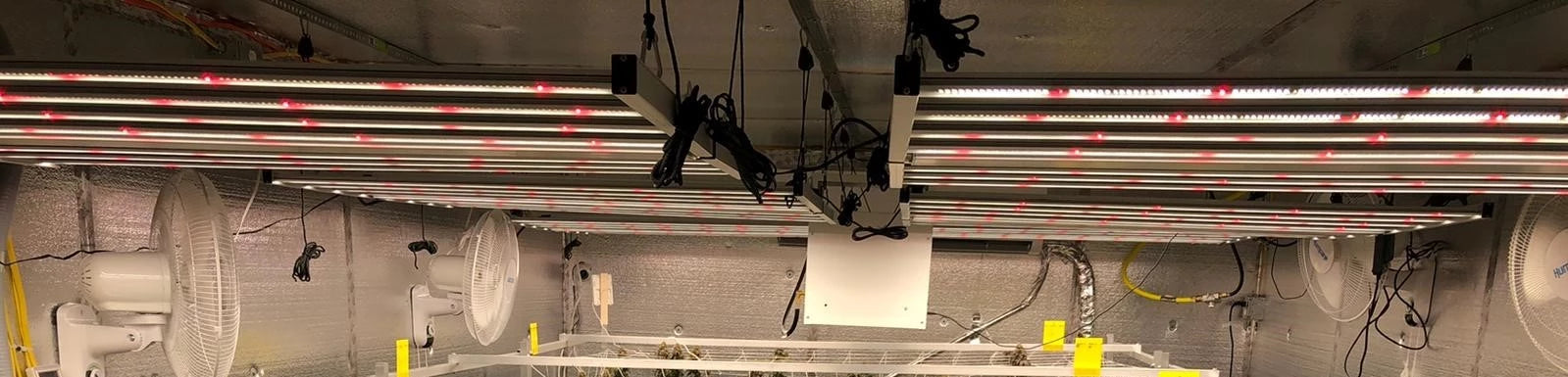 full spectrum led grow lights