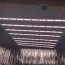 1000w LED Grow Light | 1000 watt LED Light | Best 1000w LED Grow Light | Cultiuana CT-1000 LED Light - 6x6ft, 2.8 µmol/J,-7