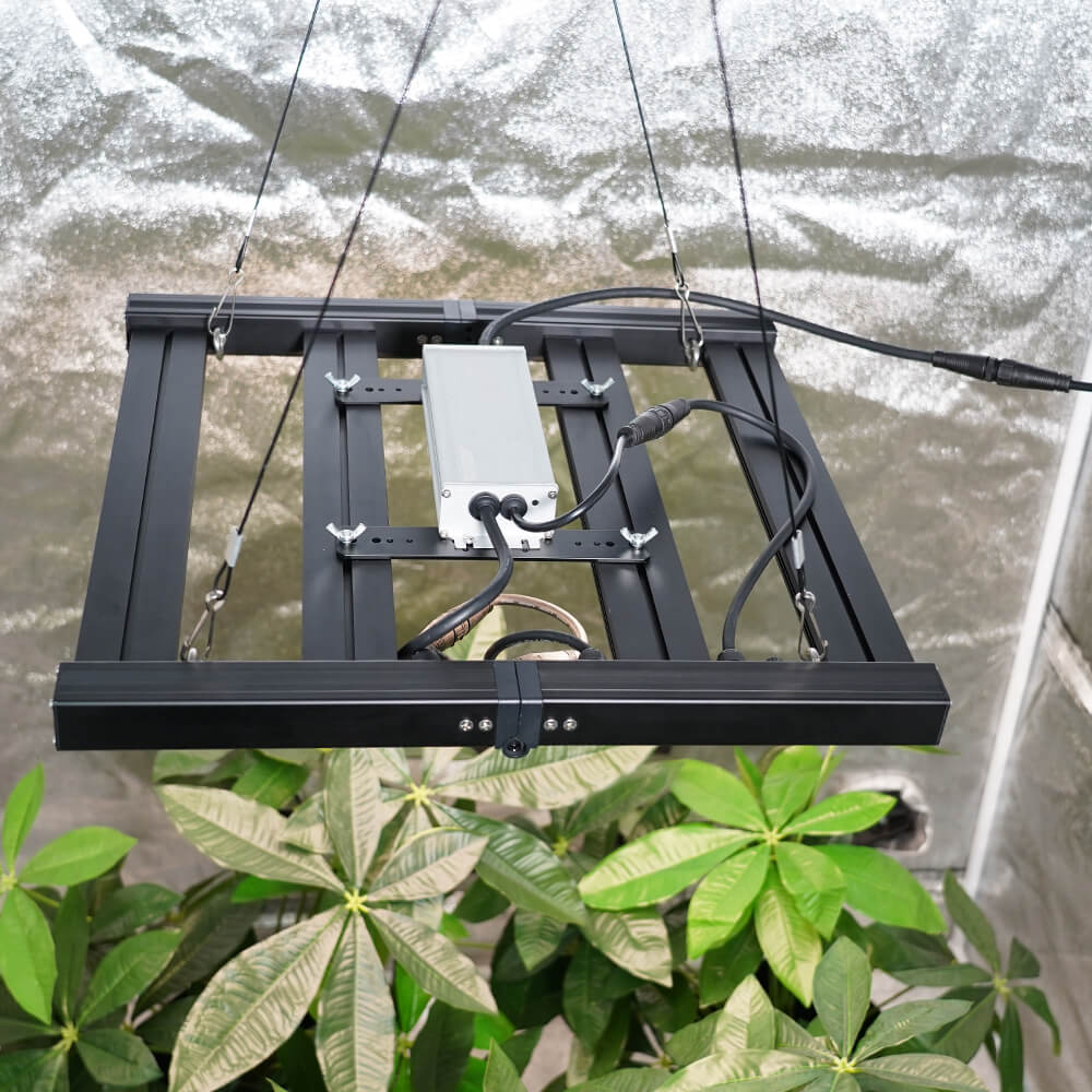 100 Watt LED Grow Light | Lights for Growing Seedlings | 2x2ft Grow Light | MJ-100 Cultiuana Grow Light