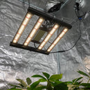 100 Watt LED Grow Light | Lights for Growing Seedlings | 2x2ft Grow Light | MJ-100 Cultiuana Grow Light-1