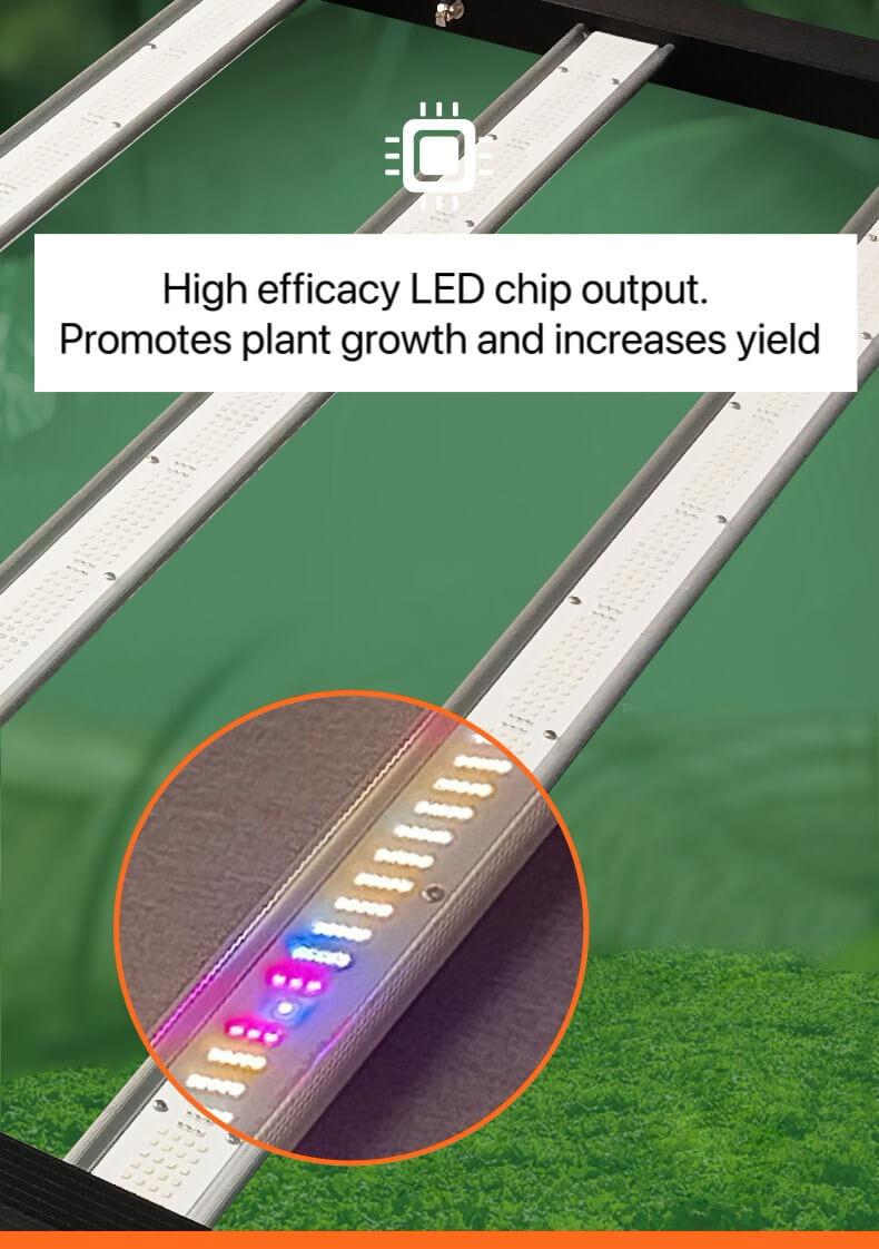 1200 Watt Full Spectrum LED Grow Light | 4x6ft Coverage High Efficient | Grow Light for Indoor Plants | Cultiuana SL-200