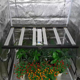 2x4 Grow Light | 320 Watt Full Spectrum LED Grow Lights | UV and IR Red Grow LED Light | Germany Stock | Cultiuana MJP-320 - 0