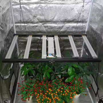 2x4 Grow Light | 320 Watt Full Spectrum LED Grow Lights | UV and IR Red Grow LED Light | Germany Stock | Cultiuana MJP-320 - 0