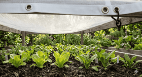 30% Shade White Cloth for Plants | UV Resistant HDPE Garden Sunblock Mesh - 0