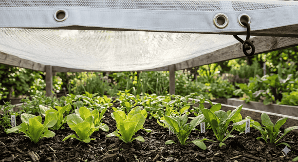 30% Shade White Cloth for Plants | UV Resistant HDPE Garden Sunblock Mesh