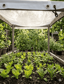 30% Shade White Cloth for Plants | UV Resistant HDPE Garden Sunblock Mesh-1