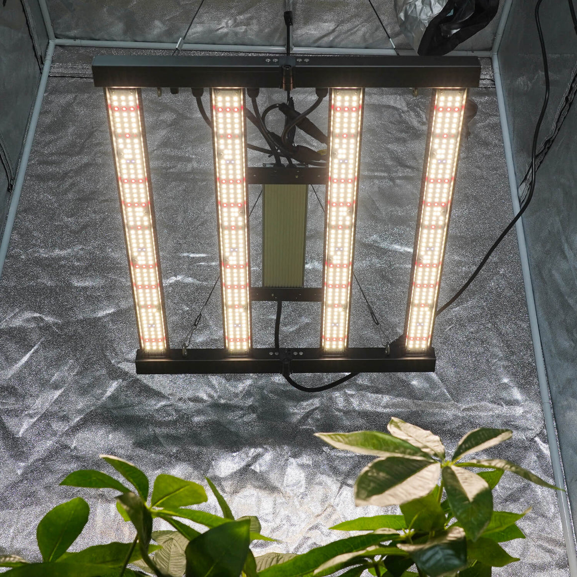 3x3 Grow Light | Seed Starting Light | Samsung Diodes Grow Light | Cul ...