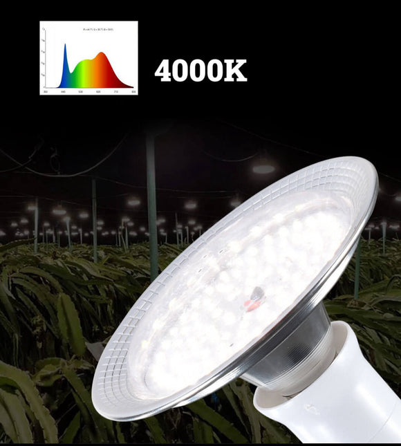 18 Watt Dragon Fruit Grow Light | Small Light for Plants | Grow Light Bulb