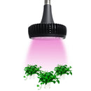 HL-60 60 Watt High Bay E40 LED Grow Lights for House Plants-8