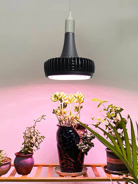 HL-60 60 Watt High Bay E40 LED Grow Lights for House Plants
