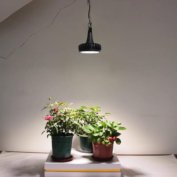 HL-60 60 Watt High Bay E40 LED Grow Lights for House Plants