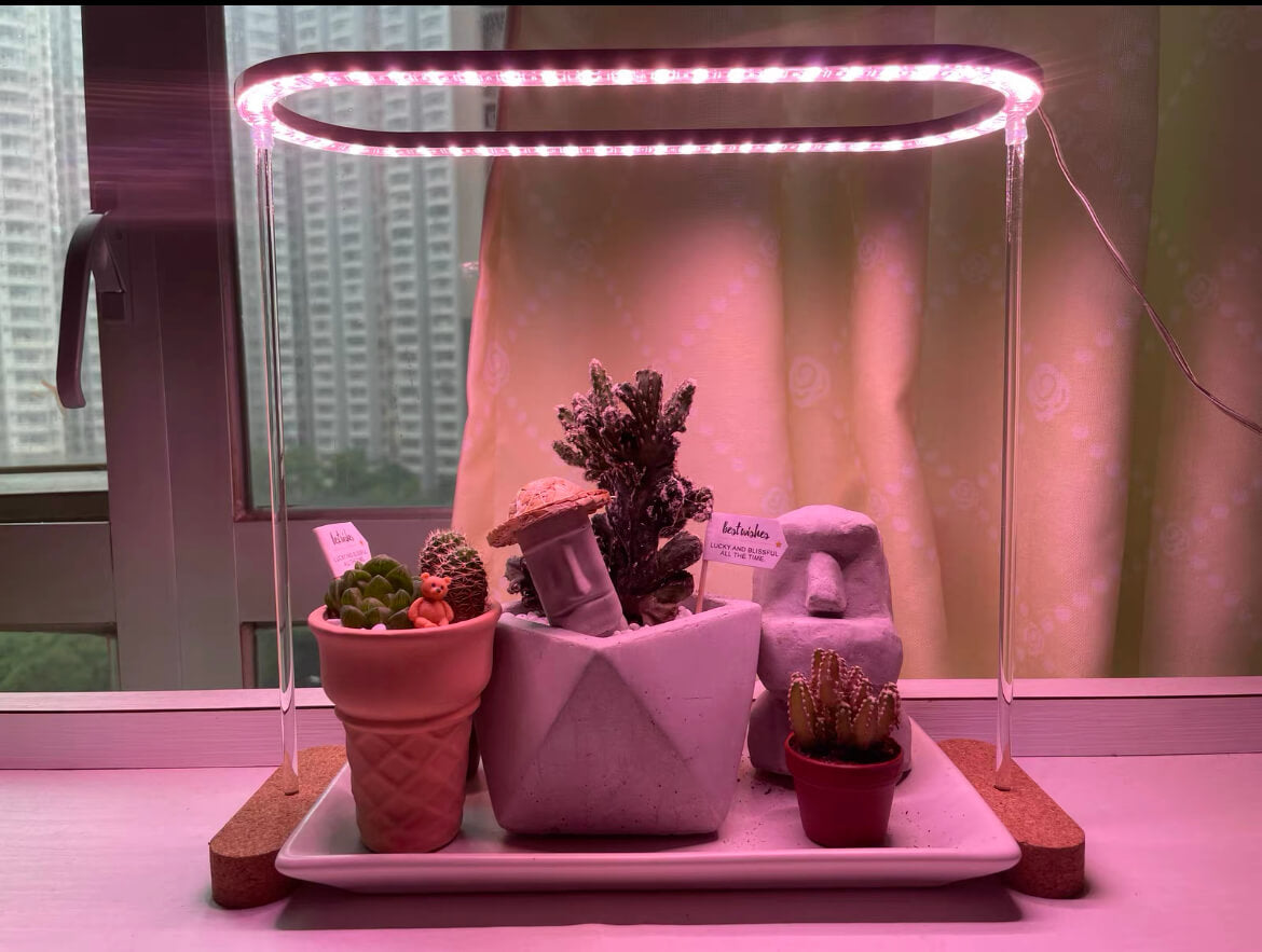 USB Grow Light | Decorative Grow Lights for Indoor Plants | Dimmable Grow Light Bulb | Cultiuana QI-601 Small Grow Light for Houseplants