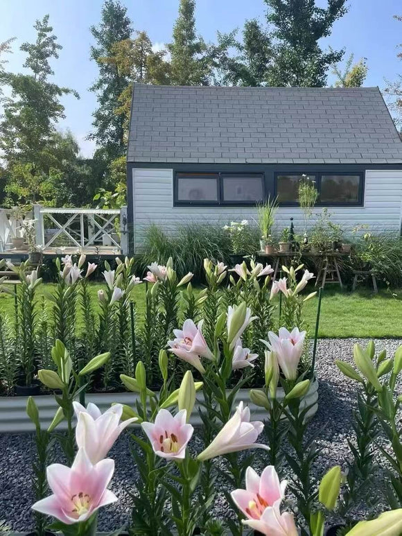 8" Metal Round Raised Garden Bed | 8" Corrugated Metal Garden Beds