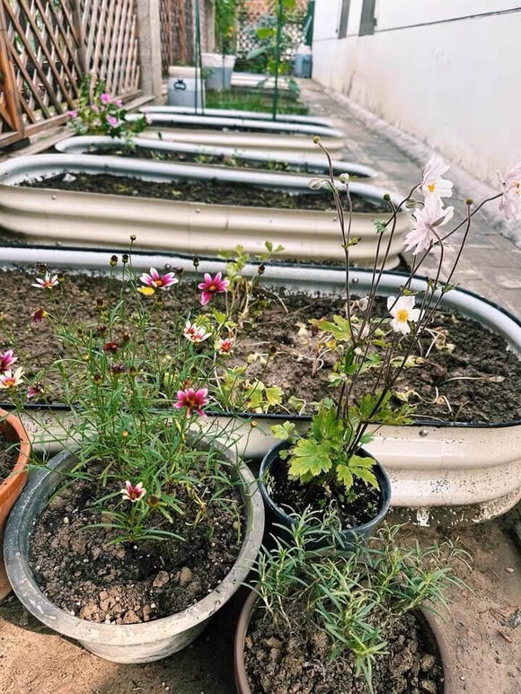 8" Metal Round Raised Garden Bed | 8" Corrugated Metal Garden Beds