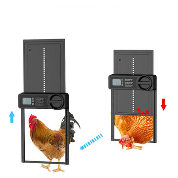 Automatic Chicken Coop Door | Solar | Anti-pinch | Light Sensor