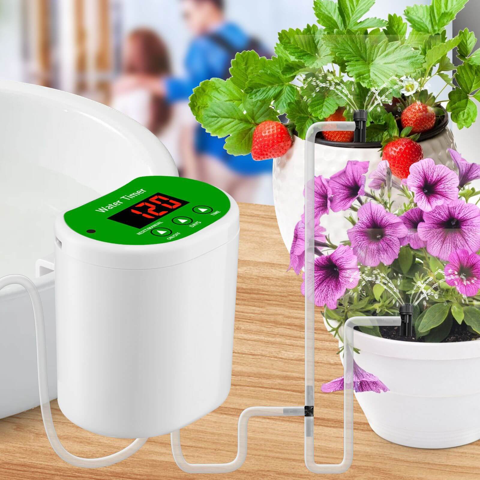 water timer for potted plants Automatic Vacation Watering System For Potted Plant