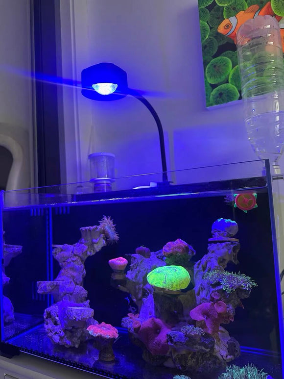 Coral Light | White Color Coral Lighting | Reef Tank Lighting | Cultiuana CL-849
