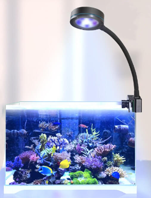 Coral Light | White Color Coral Lighting | Reef Tank Lighting | Cultiuana CL-849