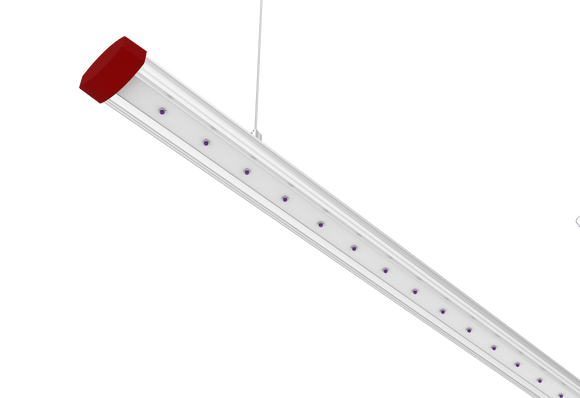 T50 UV Supplemental Lighting Bar - 50 Watts, 395nm UV, for Indoor Plants | Cultiuana