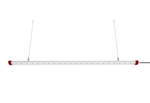 T50 UV Supplemental Lighting Bar - 50 Watts, 395nm UV, for Indoor Plants | Cultiuana