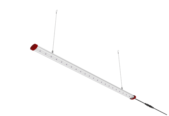 T50 UV Supplemental Lighting Bar - 50 Watts, 395nm UV, for Indoor Plants | Cultiuana