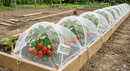 Floating Row Covers For Strawberries | 60 Mesh Pest Birds Control Protection | Multiple Sizes Available-4