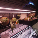 T8 LED Grow Lights | 4ft T8 LED Grow Light Bulbs | Full Spectrum T8 LED Grow Lights | Cultiuana GZ-100 T8 Bulbs-3