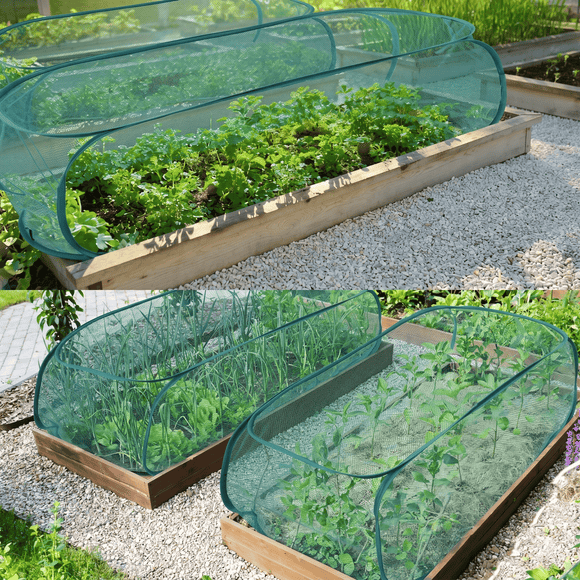 Pop Up Plant Covers | Row Covers for Vegetable Garden