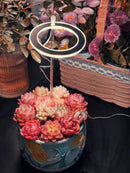 Desk Grow Light | Halo Grow Light | Small Plant Light for Office | Cultiuana QO-302 Small Grow Light for Houseplants-5