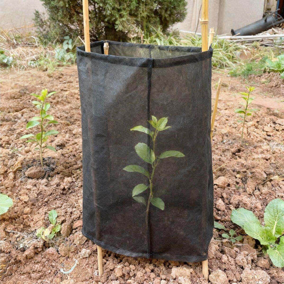 Heavy-Duty Sapling Protectors – Nonwoven Fabric Tree Guards for Young Trees