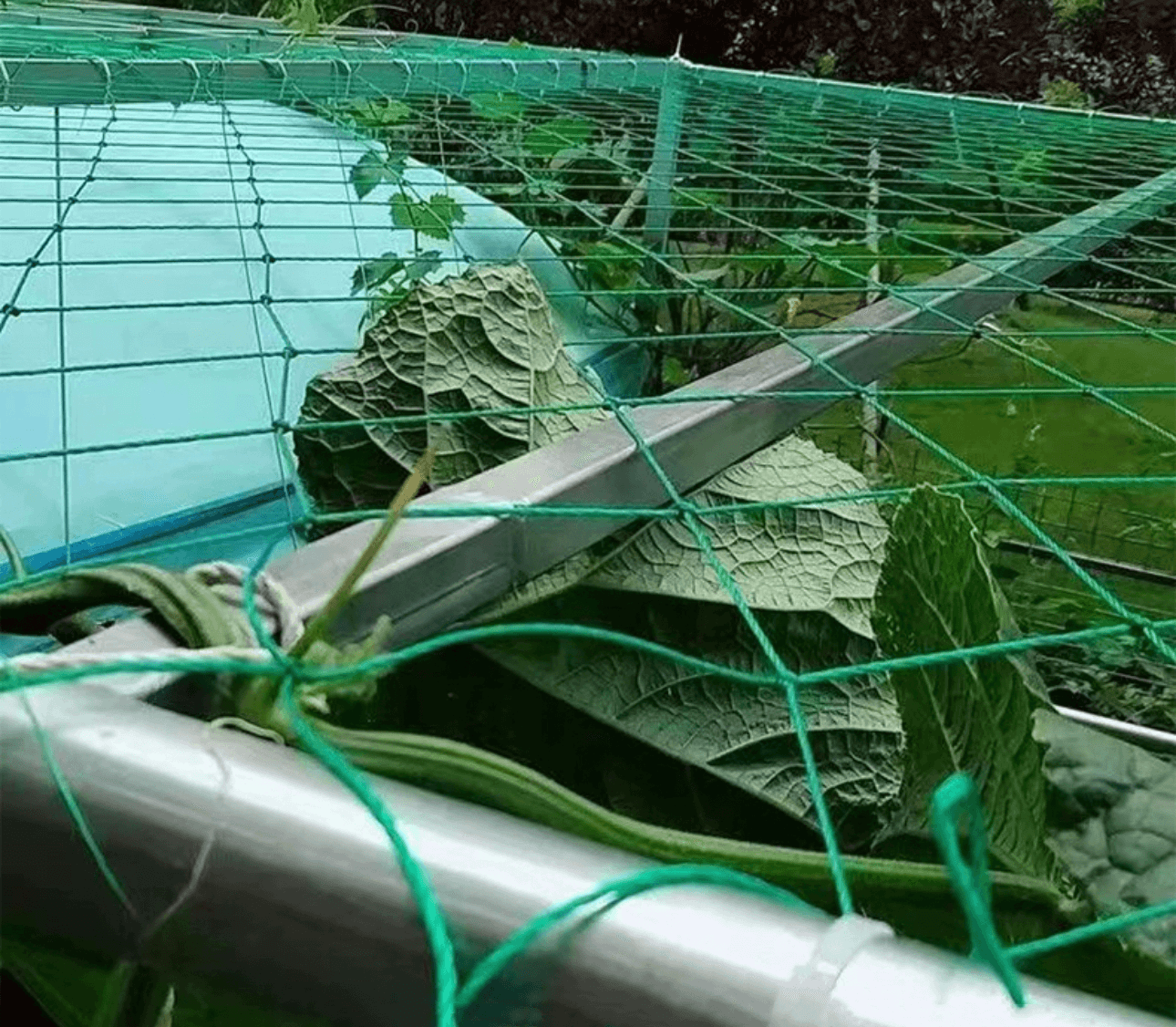 Nylon Trellis Netting | Garden Nylon Netting | Heavy Duty Nylon Net for Vines | Cultiuana